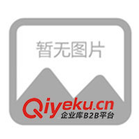 塑料打火機(jī)、金屬打火機(jī)、廣告打火機(jī)、磨砂打火機(jī)(圖)